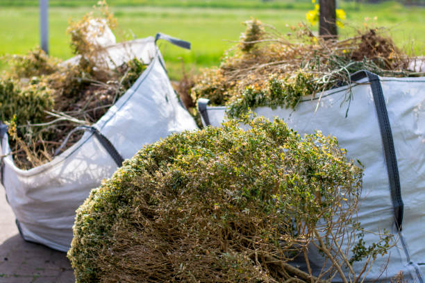 Best Hoarding Cleanup  in Marion, WI